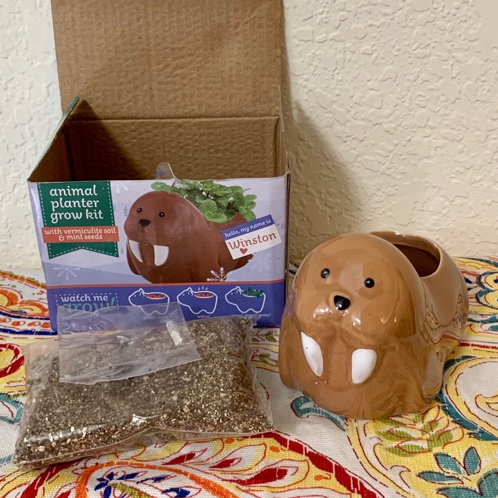 Walrus Planter 2/$20